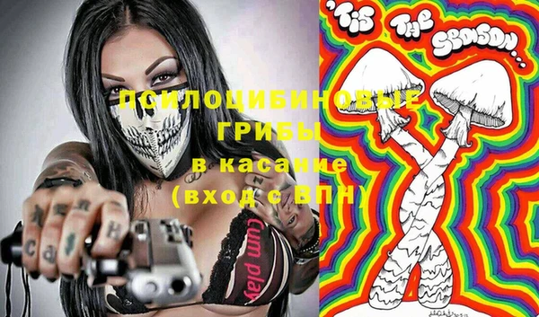 дурь Богородск