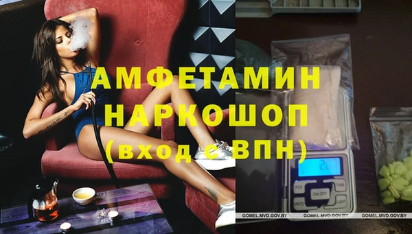 стафф Богданович