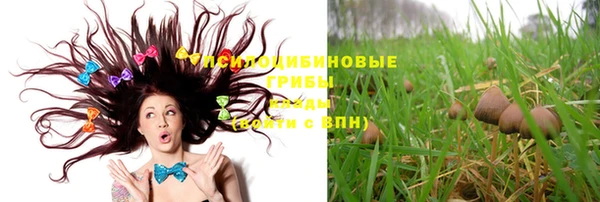 винт Богородицк